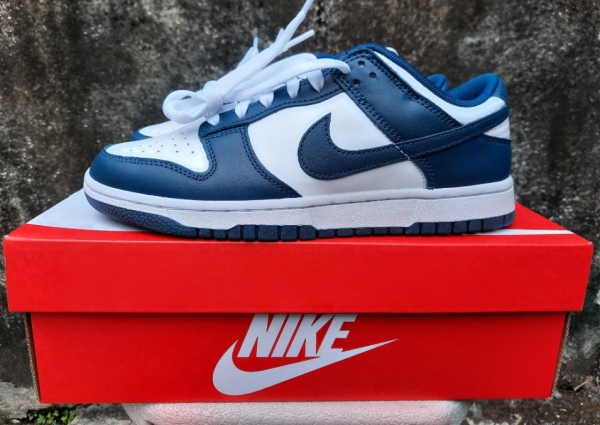 Nike Dunk Low Valerian Blue: for the Holidays